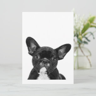 Cartes Pour Fêtes Annuelles Chien adorable   Black French Bulldog Face