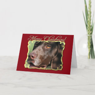 Cartes Pour Fêtes Annuelles Chien allemand d'indicateur aux cheveux courts de