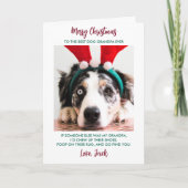 Cartes Pour Fêtes Annuelles Chien amusant Noël Grand-chien Personnalisé Animau (Devant)