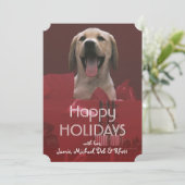 Cartes Pour Fêtes Annuelles Chien avec cadeaux de vacances (Debout devant)