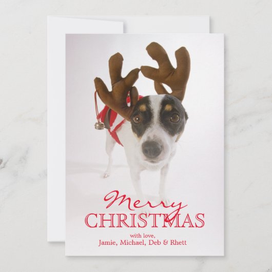 Cartes Pour Fêtes Annuelles Chien avec les andouillers et la Bell (Devant)