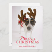 Cartes Pour Fêtes Annuelles Chien avec les andouillers et la Bell (Devant / Derrière)