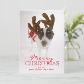 Cartes Pour Fêtes Annuelles Chien avec les andouillers et la Bell (Debout devant)