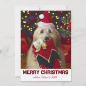 Cartes Pour Fêtes Annuelles Chien avec réserve de Noël (Devant)