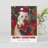 Cartes Pour Fêtes Annuelles Chien avec réserve de Noël (Debout devant)