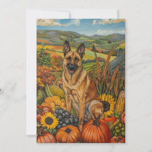 Cartes Pour Fêtes Annuelles Chien belge Malinoi automne récolte Thankgiving