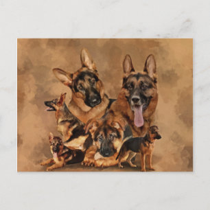 Cartes Pour Fêtes Annuelles Chien berger allemand - chiot, jeune, adulte