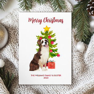 Cartes Pour Fêtes Annuelles Chien Berger Australien Famille Noël