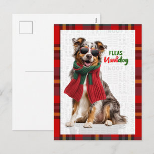 Cartes Pour Fêtes Annuelles Chien Berger Australien Puces Navidog Noël