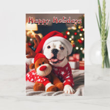 Chien blanc américain tout prêt pour Noël