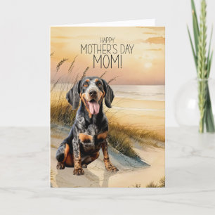 Cartes Pour Fêtes Annuelles Chien Bluetick Coonhound Plage au coucher du solei