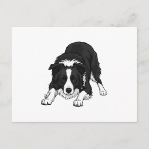 Cartes Pour Fêtes Annuelles Chien Border Collie