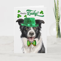 Chien Border Collie Chanceux St Patrick's Day