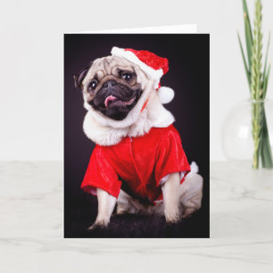 Cartes Pour Fêtes Annuelles chien carlin