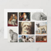 Cartes Pour Fêtes Annuelles Chien Chat Animaux 8 Portrait Photo Gardien de col (Devant / Derrière)