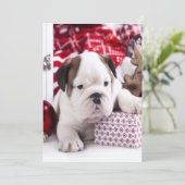 Cartes Pour Fêtes Annuelles Chien-chien anglais mignon | Noël drôle (Debout devant)