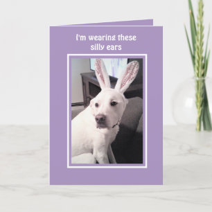 Cartes Pour Fêtes Annuelles Chien Chien Chiot Blanc Mignonne Avec Lapin De Pâq