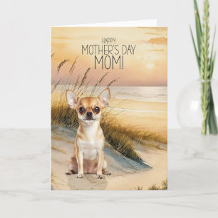 Cartes Pour Fêtes Annuelles Chien Chihuahua bronzé Plage au coucher du soleil