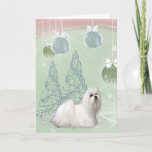 Cartes Pour Fêtes Annuelles Chien chiot maltais Noël