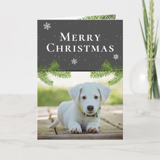 Cartes Pour Fêtes Annuelles Chien Chiot Photo Pine Snowflakes Joyeux Noël (Devant)
