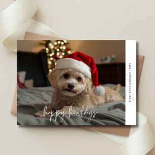 Cartes Pour Fêtes Annuelles Chien Christmas Overlay Photo Happy Howlidays Anim