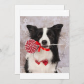 Cartes Pour Fêtes Annuelles Chien colley (Devant / Derrière)