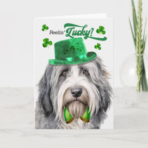 Cartes Pour Fêtes Annuelles Chien Colley Barbu Jour de Chance St Patrick
