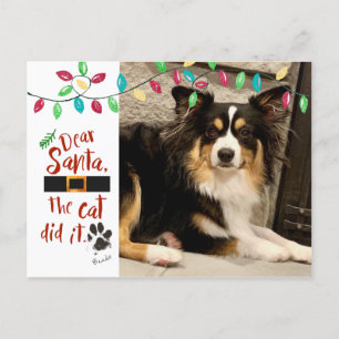 Cartes Pour Fêtes Annuelles Chien coquin Funny Cher Père Noël Lettre Photo Nom