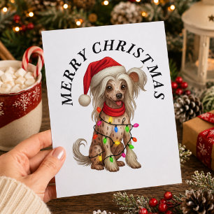 Cartes Pour Fêtes Annuelles Chien Crête Chinoise Joyeux Noël Chapeau de Père N