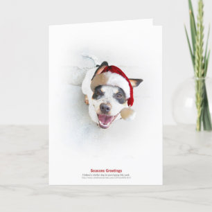 Cartes Pour Fêtes Annuelles Chien d'abri de vacances