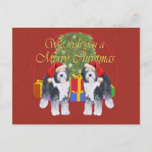 Cartes Pour Fêtes Annuelles Chien de berger anglais ancien Noël