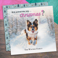 Chien de berger australien drôle dans la neige
