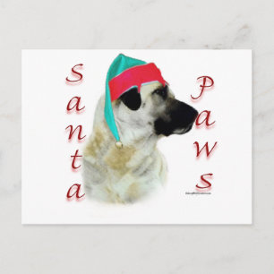 Cartes Pour Fêtes Annuelles Chien de Berger de l'Anatolie Père Noël Paws