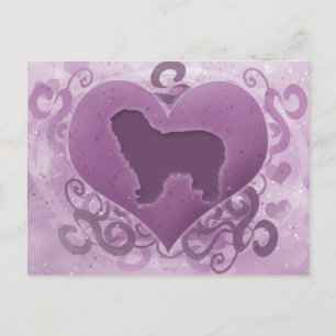 Cartes Pour Fêtes Annuelles Chien de berger polonais Valentine de plaine de