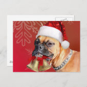 Cartes Pour Fêtes Annuelles Chien de boîte de Noël (Devant / Derrière)