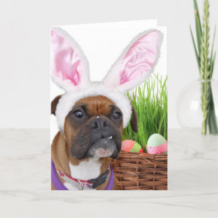 Cartes Pour Fêtes Annuelles Chien de boxe de Pâques
