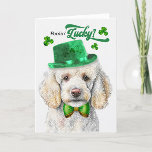 Cartes Pour Fêtes Annuelles Chien de caniche standard Feelin' Lucky St Patrick