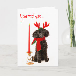 Cartes Pour Fêtes Annuelles Chien de canicule de Noël