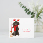 Cartes Pour Fêtes Annuelles Chien de canicule de Noël (Debout devant)