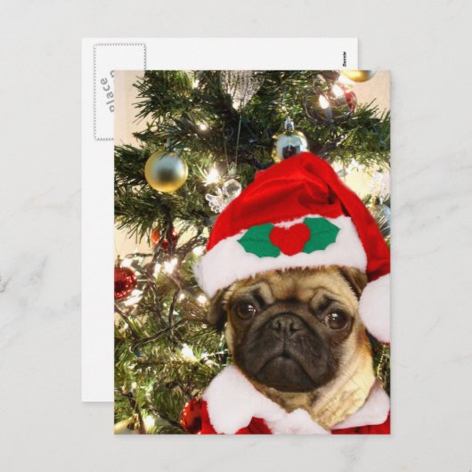 Cartes Pour Fêtes Annuelles chien de Carlin de Noël (Devant / Derrière)