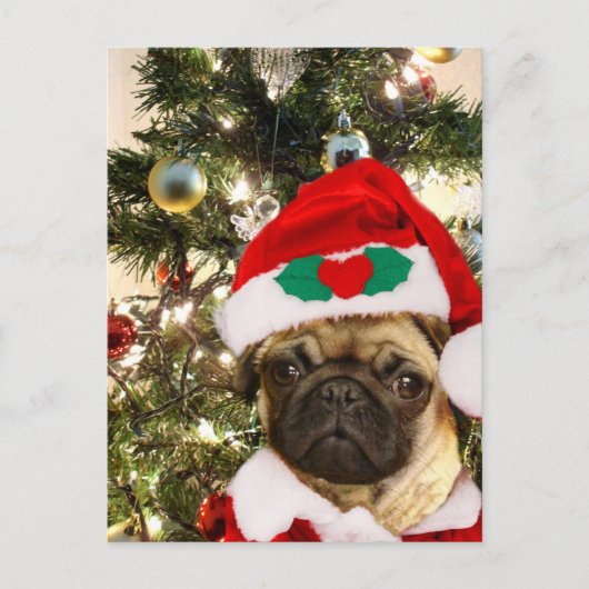Cartes Pour Fêtes Annuelles chien de Carlin de Noël (Devant)