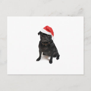 Cartes Pour Fêtes Annuelles Chien de carlin noir avec chapeau de santa rouge