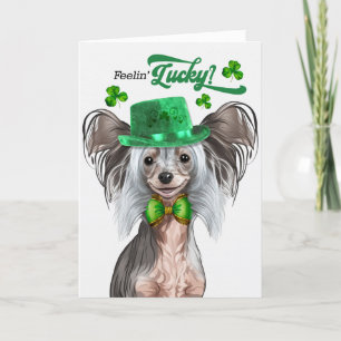 Cartes Pour Fêtes Annuelles Chien de Chine arrêté Feelin' Lucky St Patrick's D