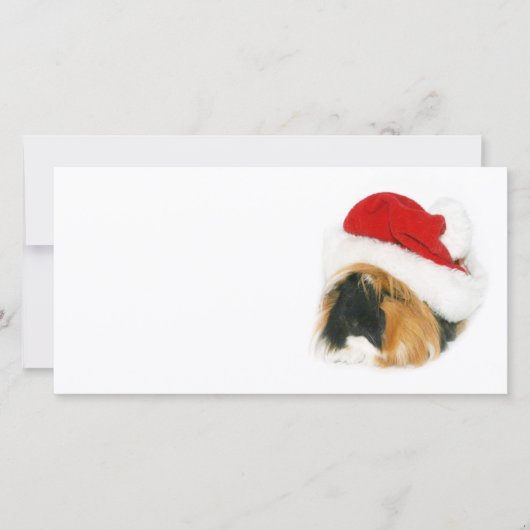 Cartes Pour Fêtes Annuelles Chien de Guinée Père Noël (Devant)