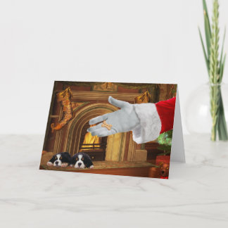 Cartes Pour Fêtes Annuelles Chien de Montagne bernois Pups Noël