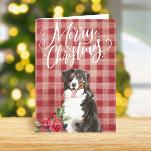 Cartes Pour Fêtes Annuelles Chien de Montagne bernois Rouge Plaid Noël