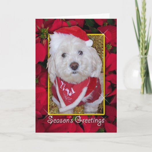 Cartes Pour Fêtes Annuelles Chien de Noël (Devant)