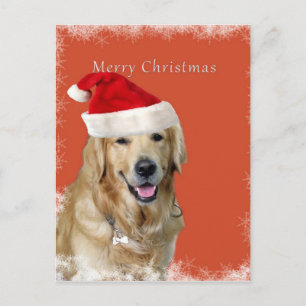 Cartes Pour Fêtes Annuelles Chien de Noël