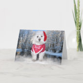 Cartes Pour Fêtes Annuelles Chien de Noël Bichon Frise (Devant)