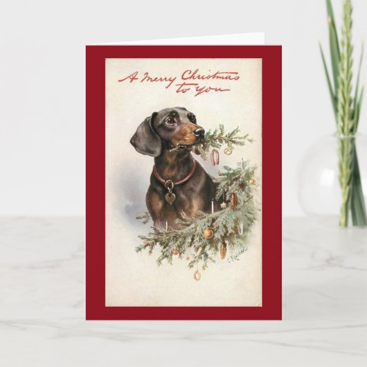 Cartes Pour Fêtes Annuelles Chien de Noël de Noël (Devant)